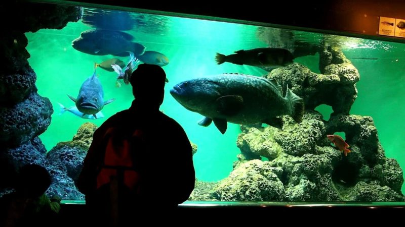 水族館