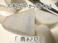 大根が中から青くなる「青あざ症」