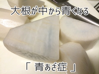 大根の中が青い これってカビ いいえ 青あざ症 です