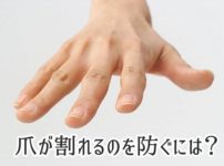 爪が割れるのを防ぐには？