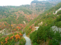 寒霞渓―頂上までドライブ